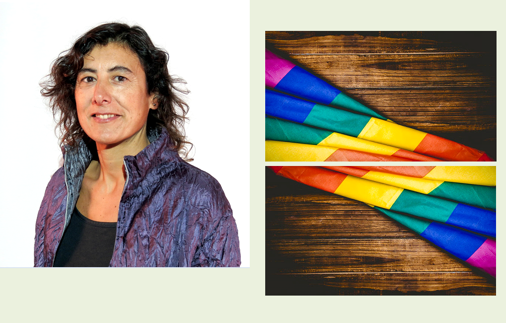 Xerrada: Estratègies de intervenció per garantir els drets de les persones LGTBI i per la no la discriminació.  A càrrec de Mireia Mata Solsona