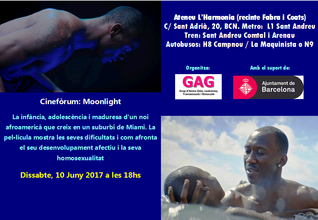 >Cineforum Moonlight