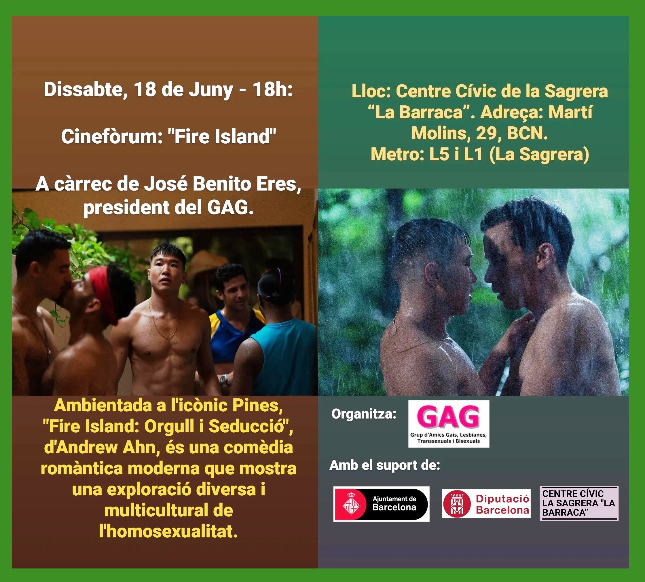 18 de juny a les 18h: Cinefòrum “Fire Island”